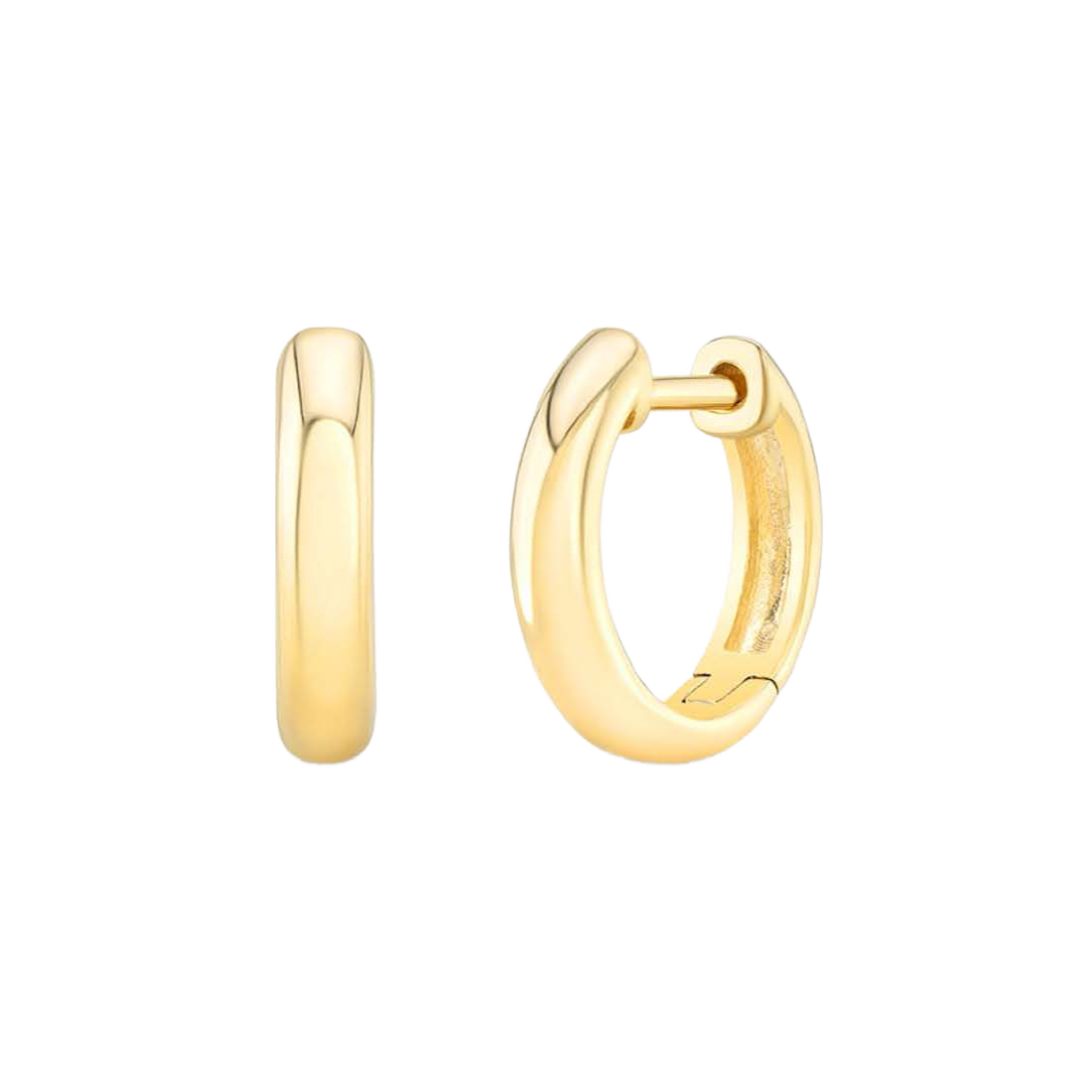 Exclusively Yours Sophisticated Gold Earrings