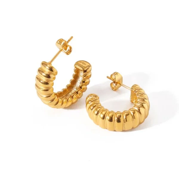 aira gold earrings